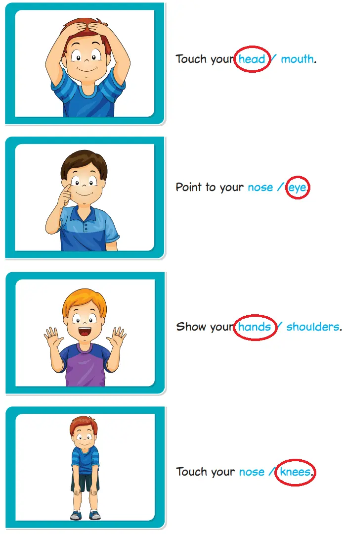 2. Sınıf İngilizce Ders Kitabı 90-91-92-93-94-95-96-97-98-99-100-101. Sayfa Cevapları Hecce Yayıncılık 2. Sınıf İngilizce Ders Kitabı Sayfa 99 Cevapları Hecce Yayıncılık