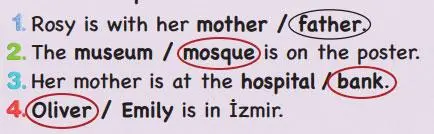 3. Sınıf İngilizce Ders Kitabı Sayfa 117 Cevapları SDR Dikey Yayıncılık