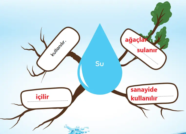3. Sınıf Türkçe Ders Kitabı Sayfa 270 Cevapları MEB Yayınları