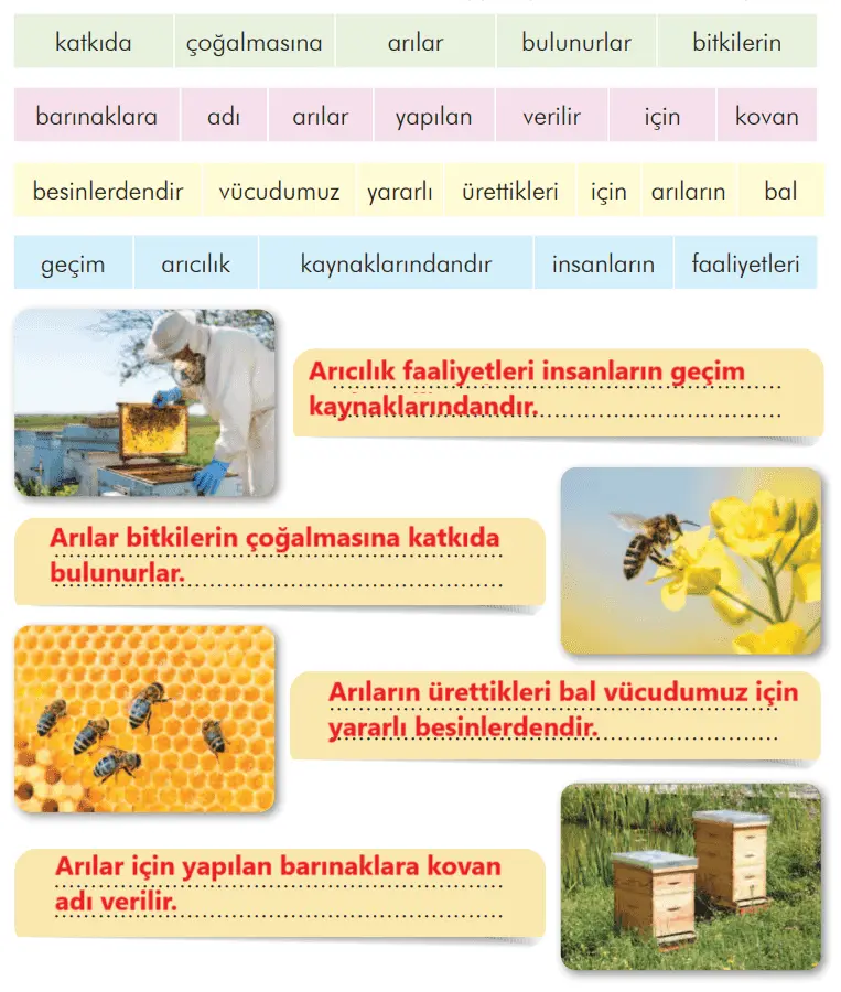 3. Sınıf Türkçe Ders Kitabı 268-269-270-271-272-273-274. Sayfa Cevapları İlke Yayıncılık 3. Sınıf Türkçe Ders Kitabı Sayfa 271 Cevapları İlke Yayıncılık