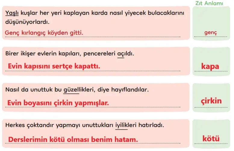 3. Sınıf Türkçe Ders Kitabı Sayfa 276 Cevapları MEB Yayınları