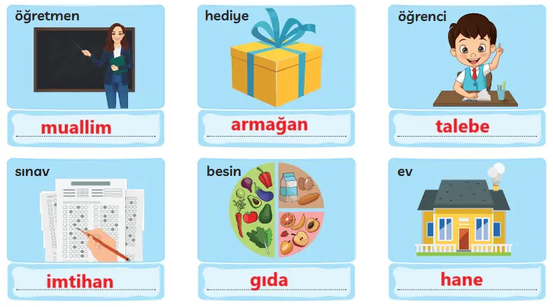 3. Sınıf Türkçe Ders Kitabı Sayfa 288 Cevapları MEB Yayınları