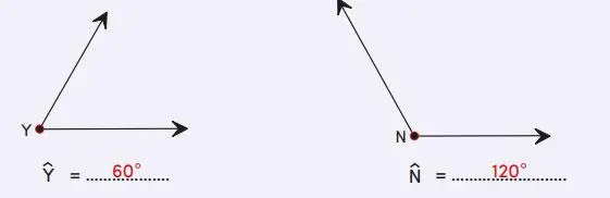 4. Sınıf Matematik Ders Kitabı Sayfa 203 Cevapları MEB Yayınları