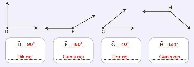 4. Sınıf Matematik Ders Kitabı Sayfa 205 Cevapları MEB Yayınları