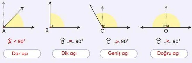 4. Sınıf Matematik Ders Kitabı Sayfa 205 Cevapları MEB Yayınları