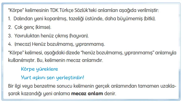 4. Sınıf Türkçe Ders Kitabı 245-246-247-248-249. Sayfa Cevapları TUNA Yayınları 4. Sınıf Türkçe Ders Kitabı Sayfa 246 Cevapları TUNA Yayınları