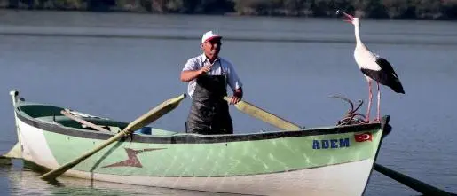 5. Sınıf Türkçe Ders Kitabı 104-105-106-107-108-109-110-111. Sayfa Cevapları 2. KİTAP 5. Sınıf Türkçe Ders Kitabı Sayfa 108 Cevapları MEB Yayınları