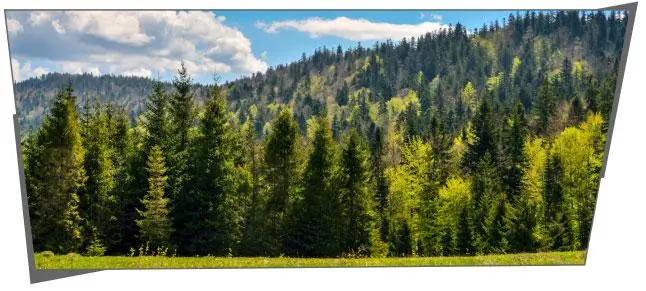 8. Sınıf Matematik Ders Kitabı Sayfa 185 Cevapları MEB Yayınları