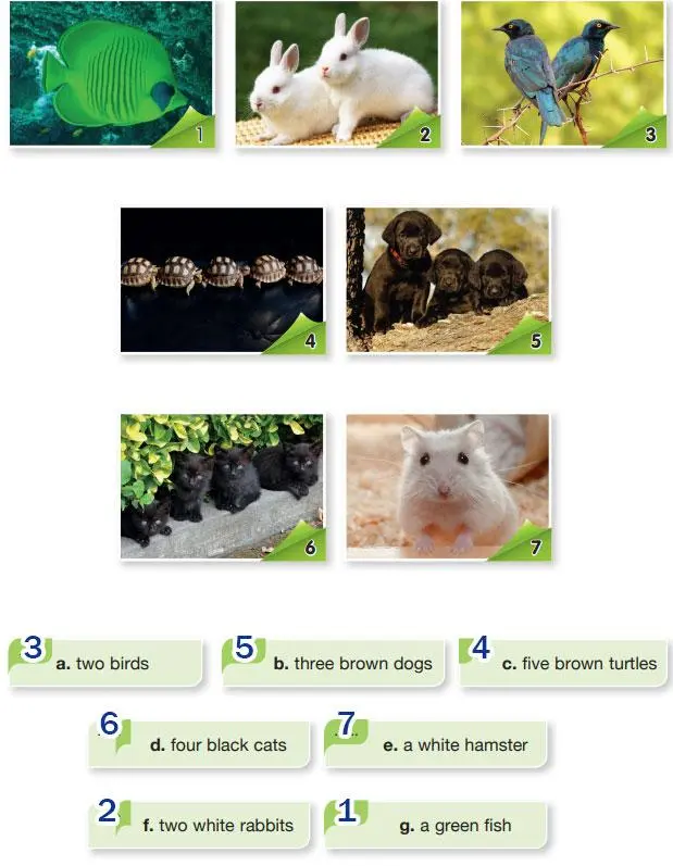 2. Sınıf İngilizce Ders Kitabı 103-104-105-106-107-108. Sayfa Cevapları Hecce Yayıncılık 2. Sınıf İngilizce Ders Kitabı Sayfa 104 Cevapları Hecce Yayıncılık