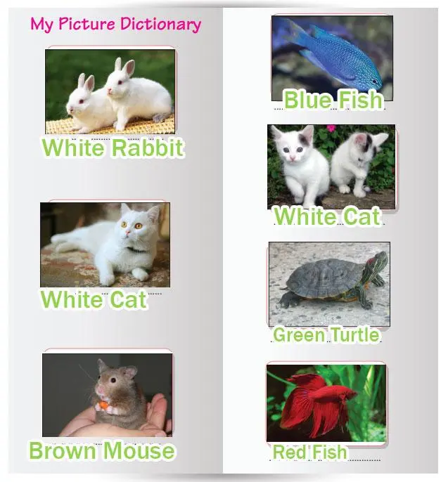 2. Sınıf İngilizce Ders Kitabı Sayfa 112 Cevapları Hecce Yayıncılık