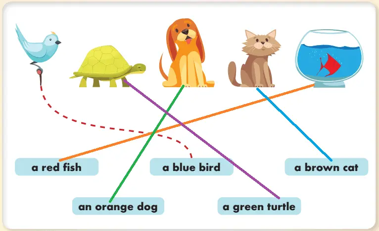 2. Sınıf İngilizce Ders Kitabı Sayfa 113 Cevapları Hecce Yayıncılık