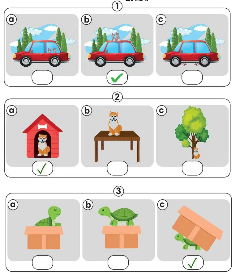 2. Sınıf İngilizce Ders Kitabı 88-89-90-91-92-93-94-95-96-97-98. Sayfa Cevapları MEB Yayınları 2. Sınıf İngilizce Ders Kitabı Sayfa 96 Cevapları MEB Yayınları