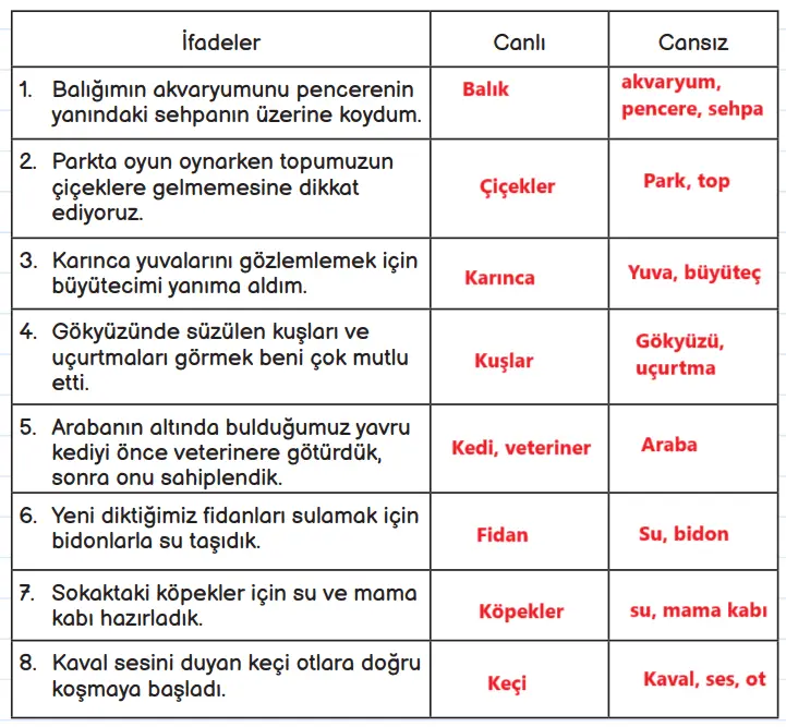 3. Sınıf Fen Bilimleri Ders Kitabı Sayfa 160 Cevapları MEB Yayınları
