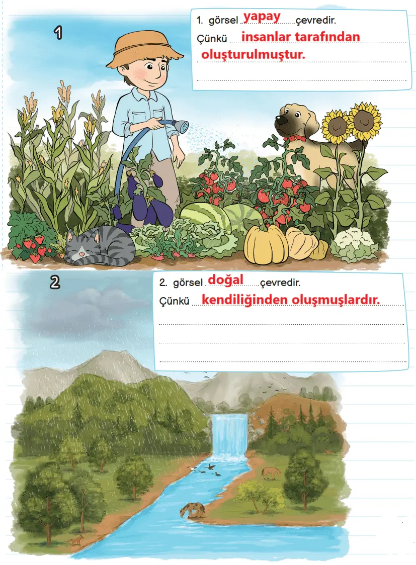 3. Sınıf Fen Bilimleri Ders Kitabı Sayfa 174-175-176-178-180-181-182-184. Cevapları MEB Yayınları 3. Sınıf Fen Bilimleri Ders Kitabı Sayfa 175 Cevapları MEB Yayınları