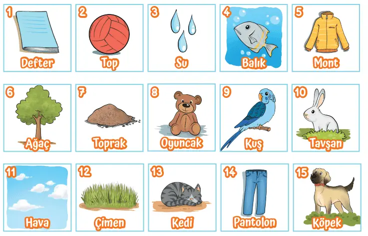 3. Sınıf Fen Bilimleri Ders Kitabı Sayfa 185 Cevapları MEB Yayınları