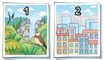 3. Sınıf Fen Bilimleri Ders Kitabı Sayfa 186 Cevapları MEB Yayınları1