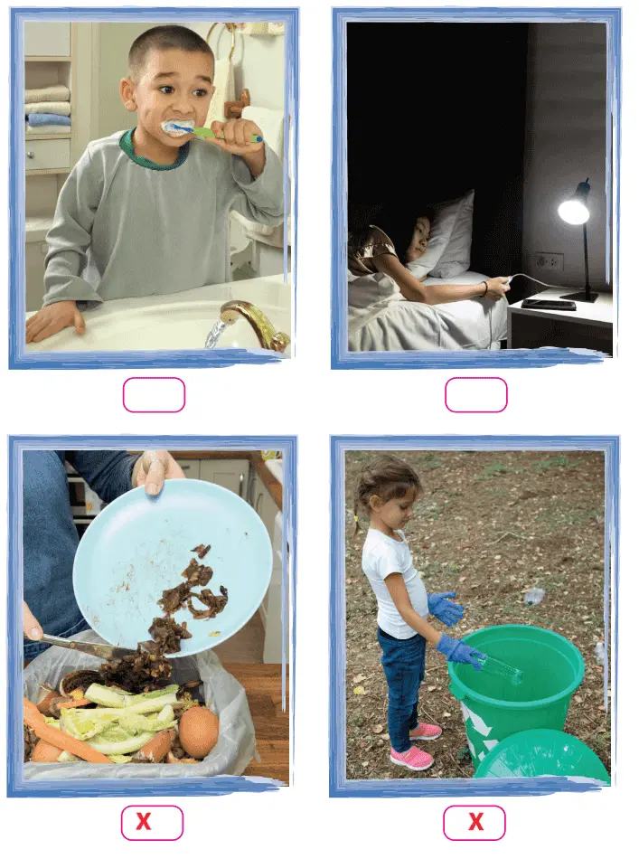 4. Sınıf Fen Bilimleri Ders Kitabı Sayfa 221 Cevapları Pasifik Yayıncılık