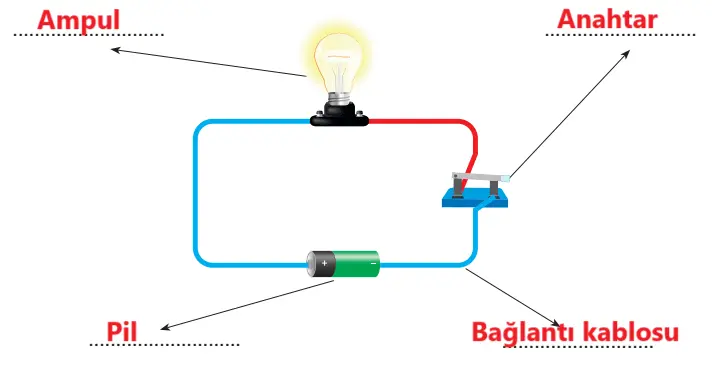 4. Sınıf Fen Bilimleri Ders Kitabı Sayfa 237 Cevapları Pasifik Yayıncılık