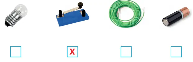 4. Sınıf Fen Bilimleri Ders Kitabı Sayfa 242 Cevapları Pasifik Yayıncılık1