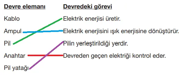 4. Sınıf Fen Bilimleri Ders Kitabı Sayfa 243 Cevapları Pasifik Yayıncılık