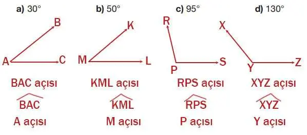 4. Sınıf Matematik Ders Kitabı Sayfa 216 Cevapları Pasifik Yayınları