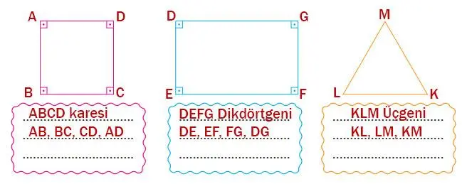 4. Sınıf Matematik Ders Kitabı Sayfa 231 Cevapları Pasifik Yayınları