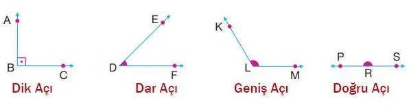 4. Sınıf Matematik Ders Kitabı Sayfa 233 Cevapları Pasifik Yayınları