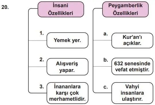 7. Sınıf Din Kültürü Ders Kitabı 112-113-114-115-116-117. Sayfa Cevapları MEB Yayınları 7. Sınıf Din Kültürü Ders Kitabı Sayfa 114 Cevapları MEB Yayınları