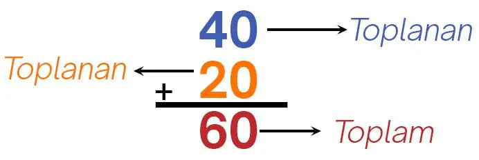 Matematiğin Temel Taşı Toplama İşlemi