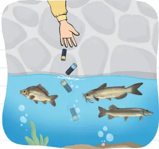 3. Sınıf Fen Bilimleri Ders Kitabı Sayfa 195-198-199-202-203-204-207. Cevapları MEB Yayınları 3. Sınıf Fen Bilimleri Ders Kitabı Sayfa 203 Cevapları MEB Yayınları2