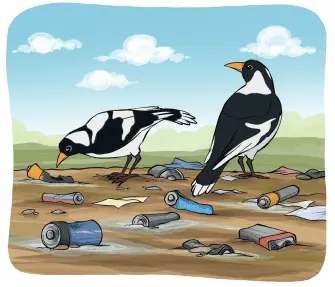 3. Sınıf Fen Bilimleri Ders Kitabı Sayfa 209 Cevapları MEB Yayınları