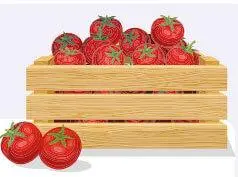 4. Sınıf Matematik Ders Kitabı Sayfa 273-274 Cevapları MEB Yayınları