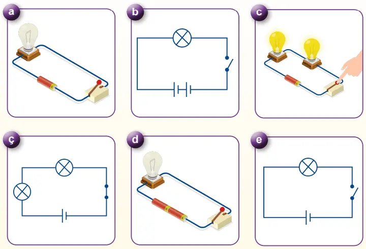 5. Sınıf Fen Bilimleri Ders Kitabı Sayfa 113-114-115-116-117-118-119. Cevapları MEB Yayınları 5. Sınıf Fen Bilimleri Ders Kitabı Sayfa 116 Cevapları MEB Yayınları