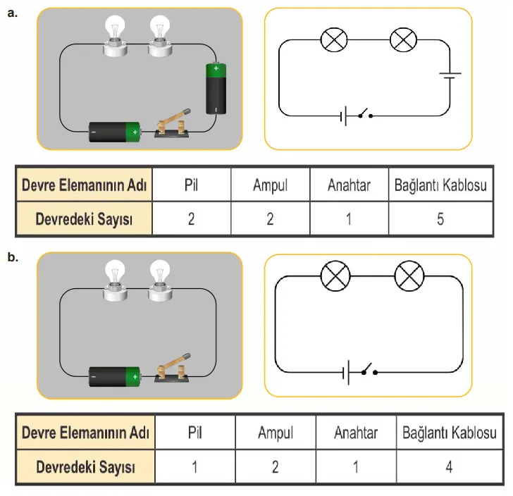 5. Sınıf Fen Bilimleri Ders Kitabı Sayfa 113-114-115-116-117-118-119. Cevapları MEB Yayınları 5. Sınıf Fen Bilimleri Ders Kitabı Sayfa 119 Cevapları MEB Yayınları