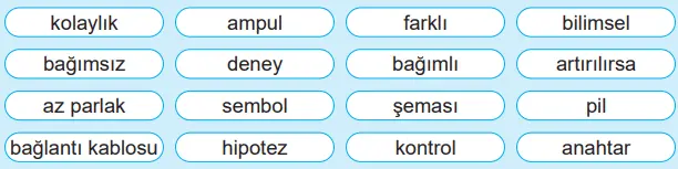 5. Sınıf Fen Bilimleri Ders Kitabı Sayfa 128 Cevapları MEB Yayınları