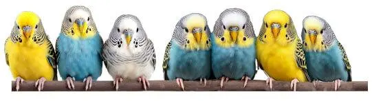 5. Sınıf Matematik Ders Kitabı Sayfa 182 Cevapları MEB Yayınları