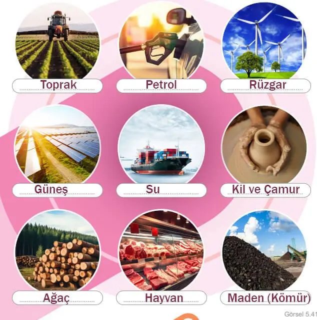 5. Sınıf Sosyal Bilgiler Ders Kitabı Sayfa 100 Cevapları MEB Yayınları