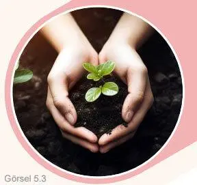 5. Sınıf Sosyal Bilgiler Ders Kitabı Sayfa 68-69-70-71-73-75. Cevapları MEB Yayınları 5. Sınıf Sosyal Bilgiler Ders Kitabı Sayfa 71 Cevapları MEB Yayınları