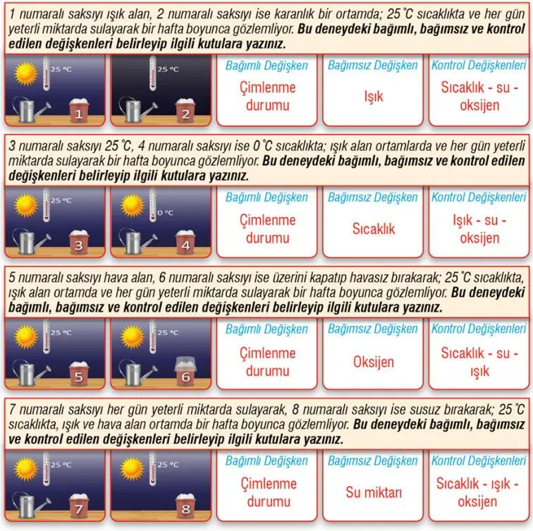 7. Sınıf Fen Bilimleri Ders Kitabı Sayfa 192 Cevapları MEB Yayınları