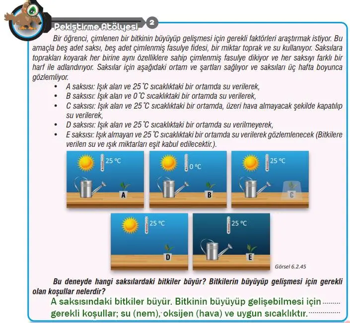 7. Sınıf Fen Bilimleri Ders Kitabı Sayfa 193 Cevapları MEB Yayınları