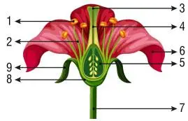 7. Sınıf Fen Bilimleri Ders Kitabı Sayfa 197 Cevapları MEB Yayınları