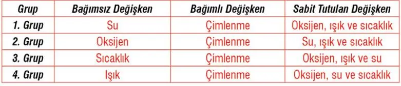 7. Sınıf Fen Bilimleri Ders Kitabı Sayfa 198 Cevapları MEB Yayınları