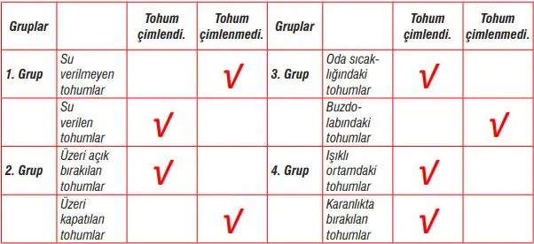 7. Sınıf Fen Bilimleri Ders Kitabı Sayfa 198 Cevapları MEB Yayınları