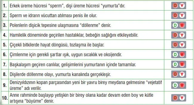 7. Sınıf Fen Bilimleri Ders Kitabı Sayfa 199 Cevapları MEB Yayınları