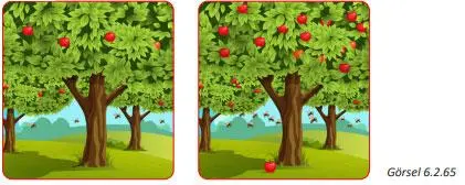 7. Sınıf Fen Bilimleri Ders Kitabı Sayfa 201-202 Cevapları MEB Yayınları