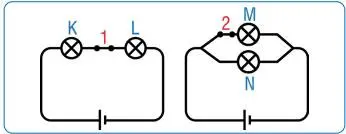 7. Sınıf Fen Bilimleri Ders Kitabı Sayfa 219-220 Cevapları MEB Yayınları
