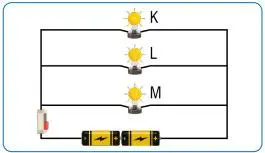 7. Sınıf Fen Bilimleri Ders Kitabı Sayfa 219-220 Cevapları MEB Yayınları