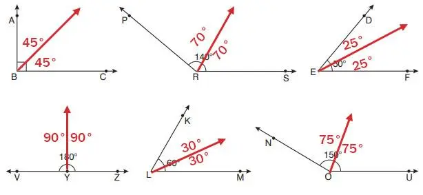7. Sınıf Matematik Ders Kitabı Sayfa 195 Cevapları EDAT Yayınları
