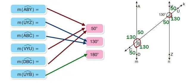 7. Sınıf Matematik Ders Kitabı Sayfa 206 Cevapları EDAT Yayınları