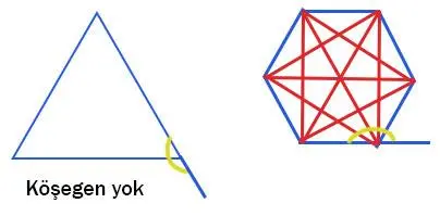 7. Sınıf Matematik Ders Kitabı Sayfa 221 Cevapları EDAT Yayınları